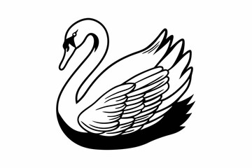 swan