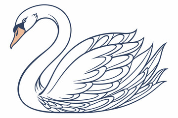 swan on the water