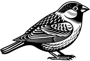 vector illustration of a bird