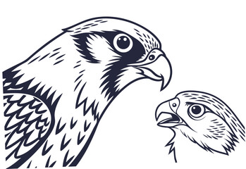 eagle vector illustration