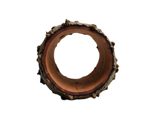 Isolated hollow tree trunk showcases intricate details, earthy tones, and a captivating small hole within its weathered surface, inviting curiosity and imagination