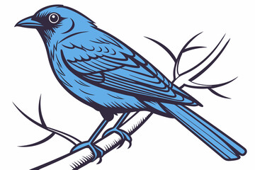 blue tit on branch