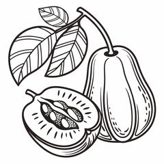 pumpkin on a white background