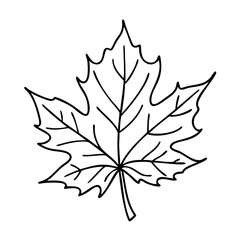 maple tree leaf icon, maple tree leaf vector illustration-simple illustration of maple tree leaf, perfect for maple tree leaf logos and icons
