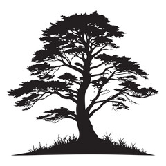 A  Cedar Tree illustration, vector art, black lines, isolated on white background,