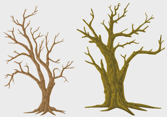 Picture set of big trees without leaves , dead old trees on ,White background ,vector illustration
