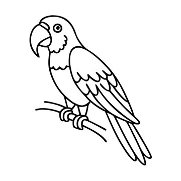 parrot icon, parrot vector illustration-simple illustration of parrot, perfect for parrot logos and icons