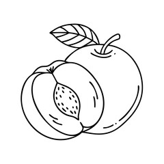 peach icon, peach vector illustration-simple illustration of peach, perfect for peach logos and icons