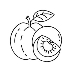 peach icon, peach vector illustration-simple illustration of peach, perfect for peach logos and icons