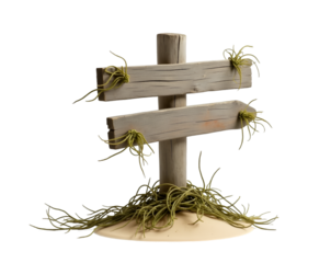 Rustic charm captured in a weathered wooden beach sign, realistically adorned with coastal flora, evoking a sense of timelessness and natural beauty