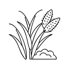 rice icon, rice vector illustration-simple illustration of rice, perfect for rice logos and icons