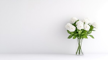 Fototapeta premium A bouquet of white flowers in a clear glass vase standing on a minimalist white surface, elegant and simple composition, and serene indoor setting.