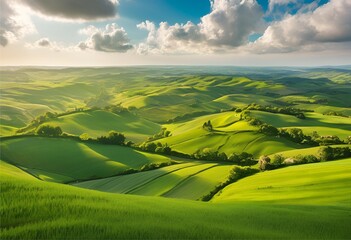 vast lush green meadow stretches far, with fresh air and a bright, clear atmosphere.
