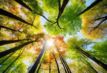 dense spring forest with vibrant, diverse colors, captured from an aerial view, creating a unique atmosphere.
