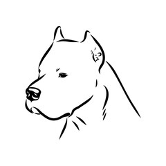 Argentine Great Dane vector sketch beautiful Great Dane line art images
