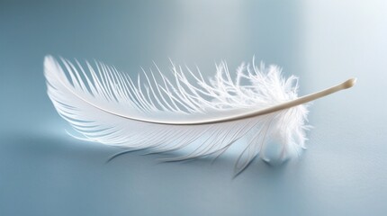 Obraz premium The image features a delicate white feather on a soft blue surface, capturing intricate details and texture, with a serene, airy, and minimalist aesthetic.