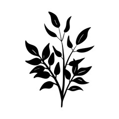 Silhouette of a leafy branch against a white background for decoration