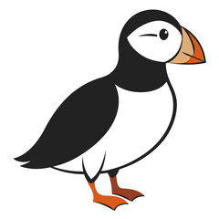 Colorful cartoon puffin bird with orange beak and black and white body