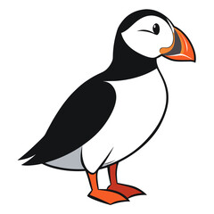 Obraz premium Colorful cartoon puffin bird with orange beak and black and white body