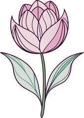delicate line art blooming tulip