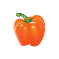 Realistic illustration of fresh bell pepper fruit isolated on white background