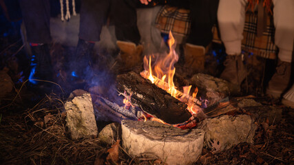 Cozy Campfire in the Wilderness
