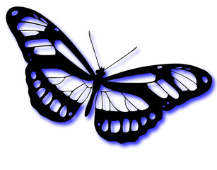 3D Butterfly clipart with a blue shadow effect