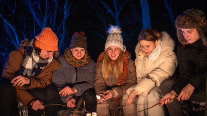 Obraz premium Friends sitting around a campfire in the woods on a winter evening