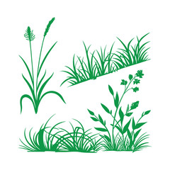 Fototapeta premium Set of green grass and weed illustrations