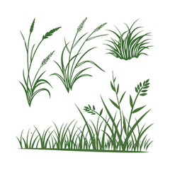 Obraz premium Set of 5 green grass illustrations vector