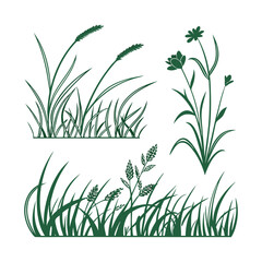 Fototapeta premium Set of 3 grass and wildflower illustrations vector