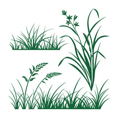 Obraz premium Green grass and weed silhouettes set