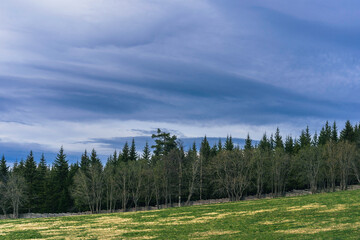 The cultural landscape at Holmstadsveen of Toten, Norway, in April.