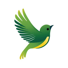 Colorful Bird in Flight with Spread Wings