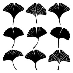 Minimal Ginkgo Leaves set Black Silhouette 
