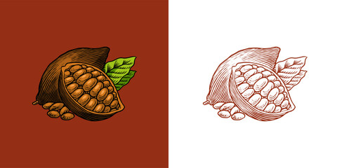 Cocoa Beans and Chocolate for t-shirts, typography, shop or signboards. Hand Drawn engraved sketch. Vector illustration.