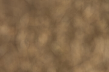 Warm Golden Brown Abstract Defocused Bokeh Background
