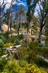 Fototapete bei efototapeten.de bestellen   