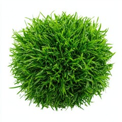 Green grass sphere close up top view on white background