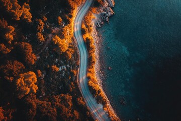 Winding coastal road snaking through a vibrant autumn forest, meeting the deep blue sea Sunlight highlights the path and the foliage