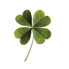 Four leaf clover isolated on transparent background