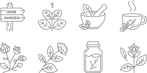 black and white line art, sketch, botanical, minimalist, leaves, butterfly, coffee cup, smoking pipe, pine cone, jar, plant, monochrome, vector style
