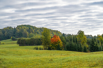 striped clouds in a rural landscape