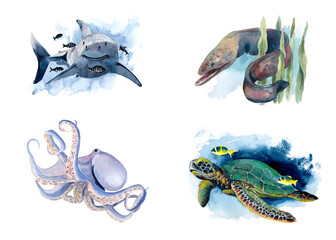 The animal world of the seas and oceans. A set of watercolor illustrations