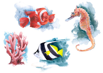 The animal world of the seas and oceans. A set of watercolor illustrations