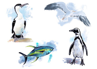 Naklejka premium The animal world of the seas and oceans. A set of watercolor illustrations