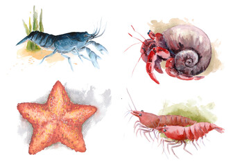 The animal world of the seas and oceans. A set of watercolor illustrations