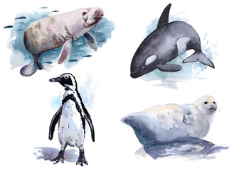 The animal world of the seas and oceans. A set of watercolor illustrations