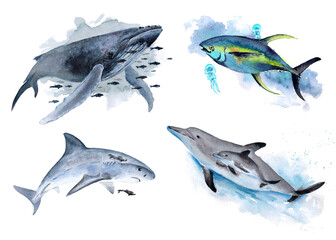 The animal world of the seas and oceans. A set of watercolor illustrations