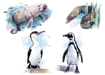 The animal world of the seas and oceans. A set of watercolor illustrations